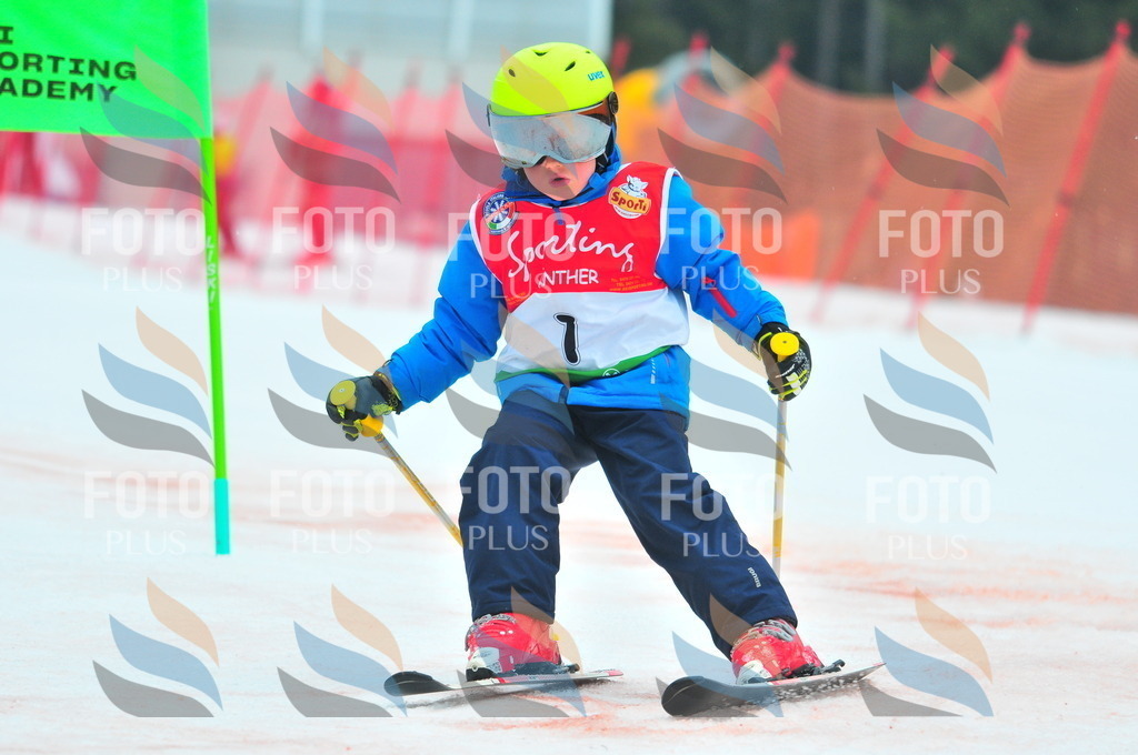 C0471 | holidayphoto