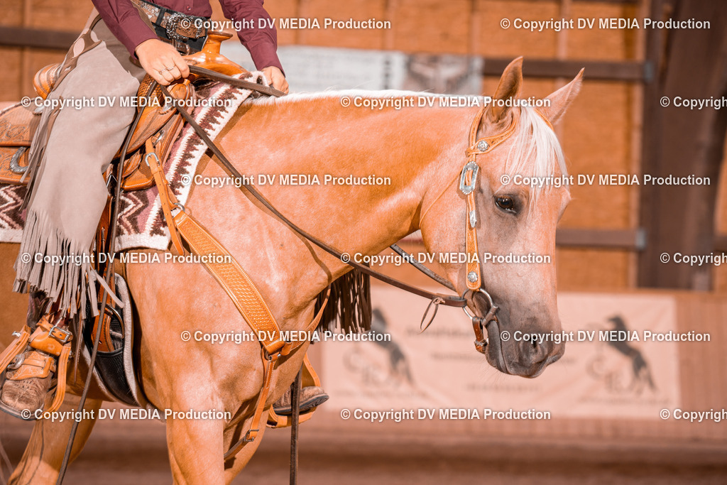 NE200560 | dv-media-shop - Realisiert mit Pictrs.com