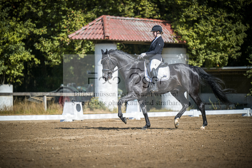 DOS_3520 | Entdecke hochwertige Reitturnierfotos von Foto Oger. Professionell, emotional und authentisch – jetzt Lieblingsmomente im Shop bestellen.Deutschlandweite Turnierfotografie. - Realisiert mit Pictrs.com