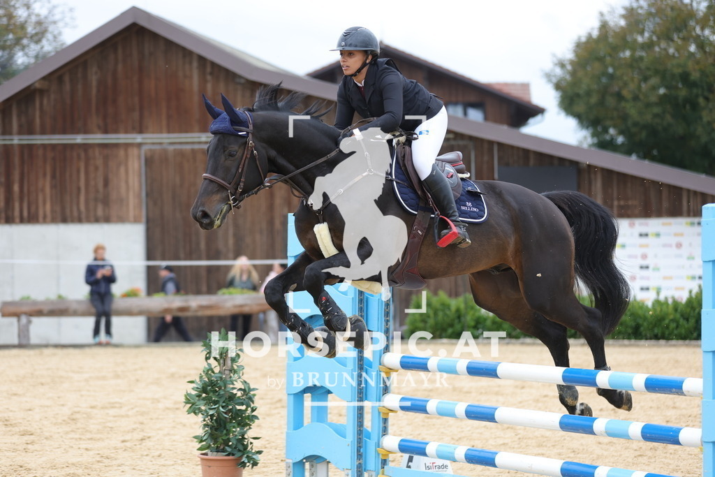 0P6A2890 | Willkommen bei Brunnmayr - Design & Fotografie – Ihrem Spezialisten für Reitturniere und Pferdeveranstaltungen in Oberösterreich, Salzburg und Bayern! Seit über 17 Jahren sind wir leidenschaftlich dabei.