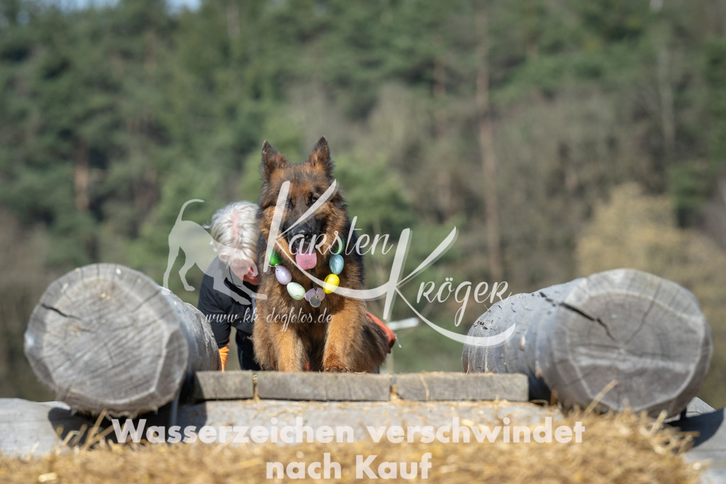 0940_ZZ94979 | kk-dogfotos