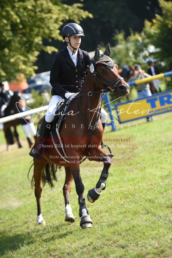 DSC_8926 | Pferde- und Turnierfotografie in Westsachsen. Pferdeportraits, Auftragszeichnungen und intuitive Kunst.