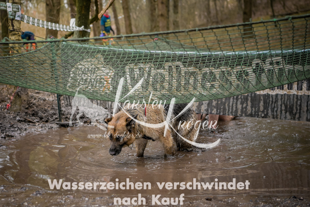 0916_ZZ96991 | kk-dogfotos