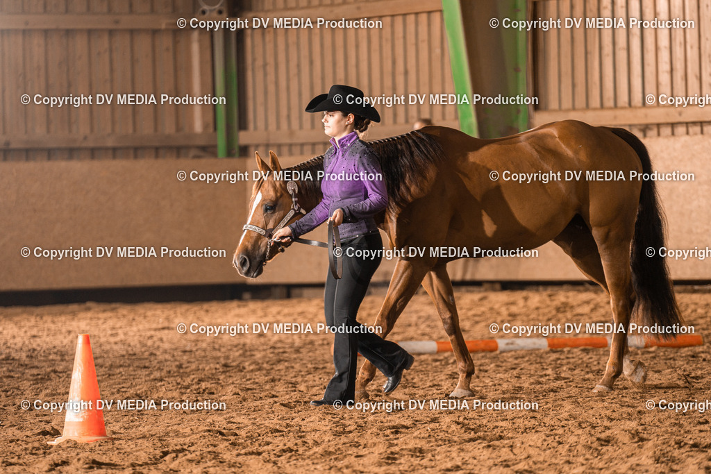 BAL01271 | dv-media-shop - Realisiert mit Pictrs.com