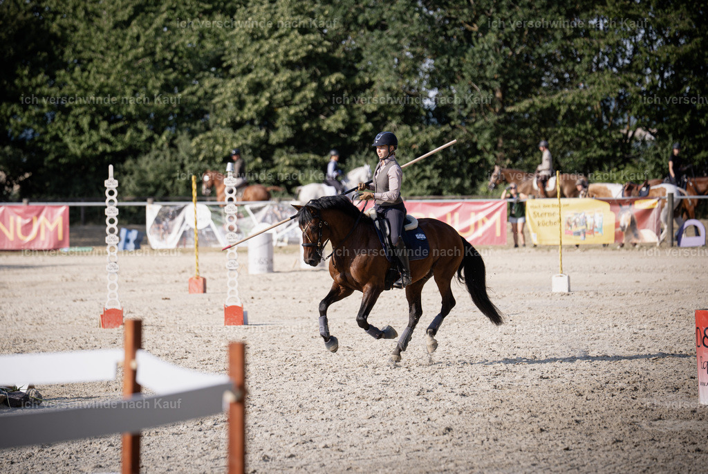 WS_SP_46_SinaFilmArt_IN09442 | working equitationturnier fotograf videograf stoibphotography marixx film working equitation deutschland reitsport turnierfotografie eventfotografie equestrian events