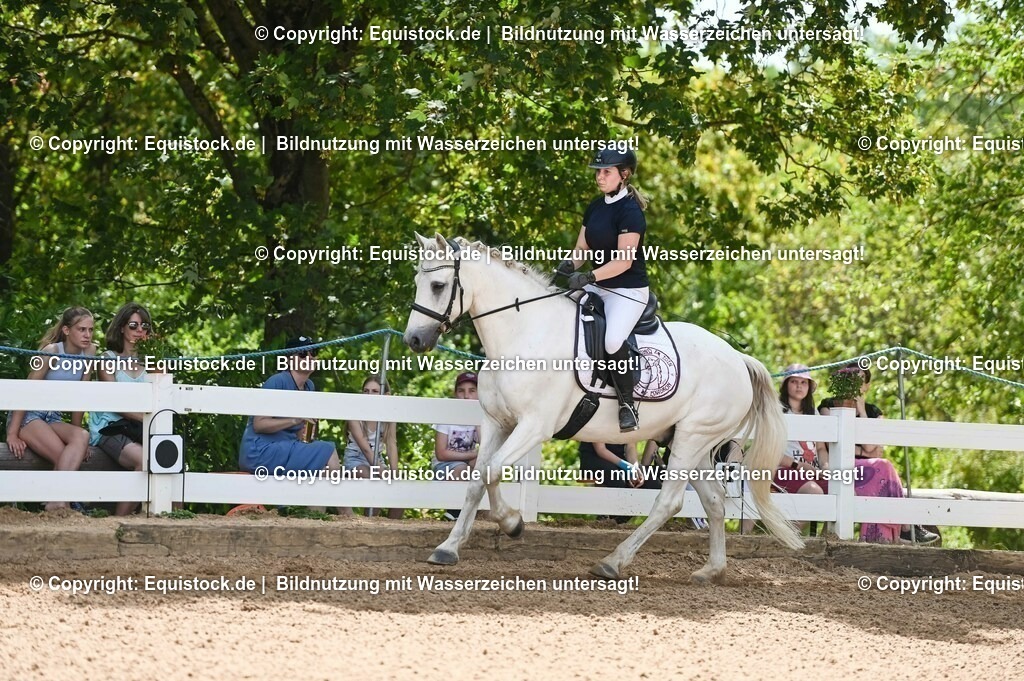 20230715_09_Dressur-WB_0090 | equistock