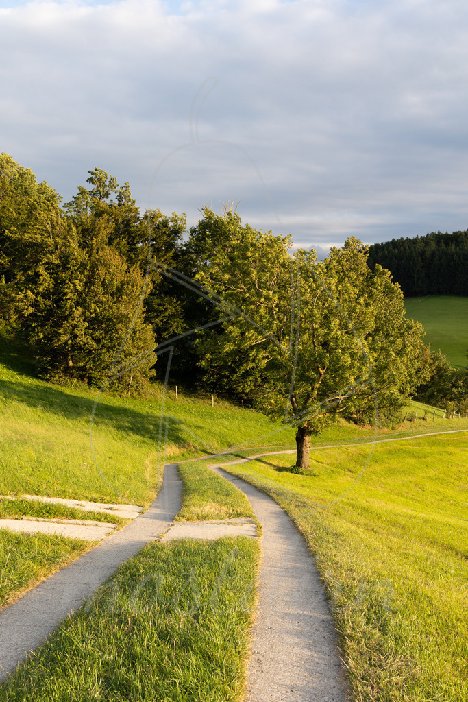 Blassenstein Wanderweg | Ihre Fotografin im Lungau, ihre Fotografin im Mostviertel, Wandbilder Onlineshop, Imagefotos für Ihr Unternehmen,  - Realisiert mit Pictrs.com