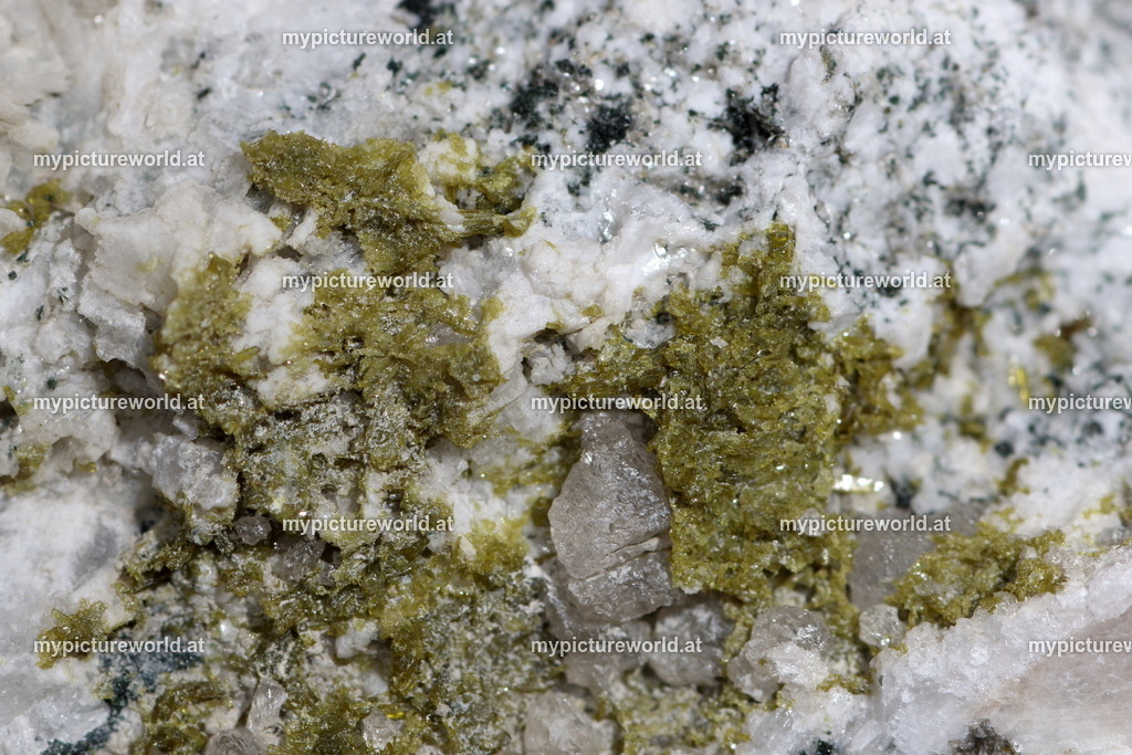 Epidot-001 | Das Bilderarchiv über Tiere, Planzen und Landschaften. In der Bilddatenbank finden Sie ein große Auswahl an hochwertigen Bilder für Ihre Werbung - Realisiert mit Pictrs.com