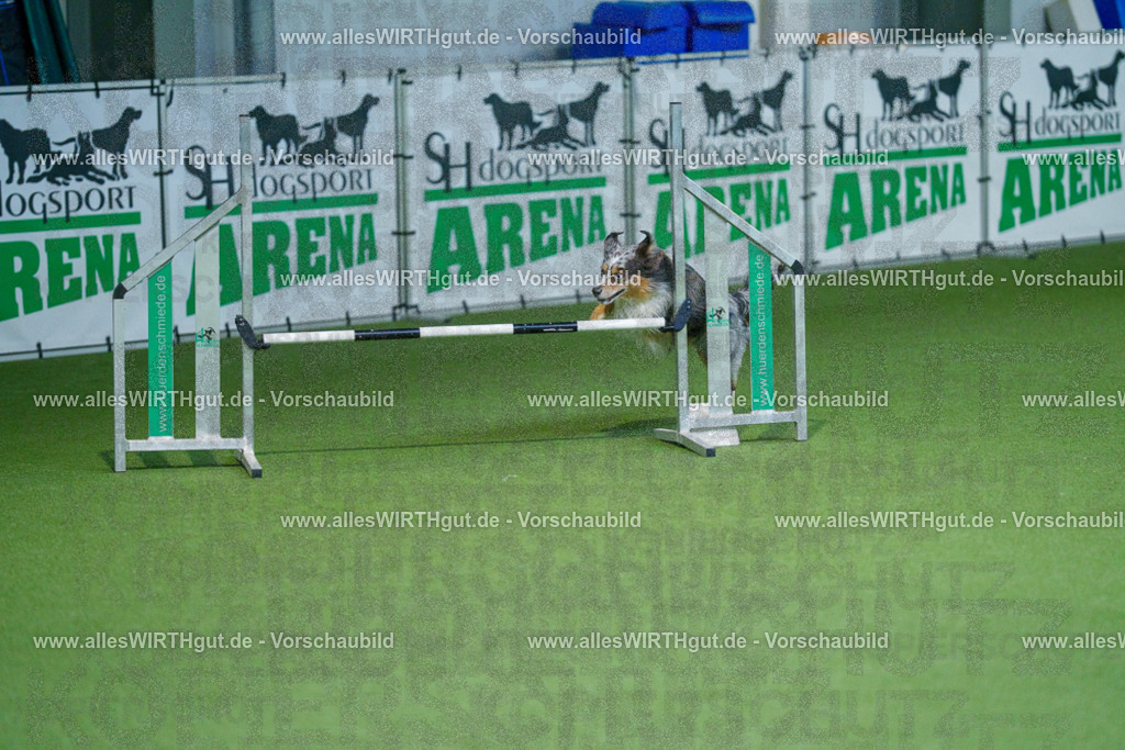 @allesWIRTHgut_Tierfotografie - www.allesWIRTHgut.de - 2604250958-7R509360 | Professionelle Tierfotografie in Mönchengladbach von Daniel Wirth (allesWIRTHgut). Liebevolle & natürliche Bilder von Hunden & Katzen für unvergessliche Erinnerungen.