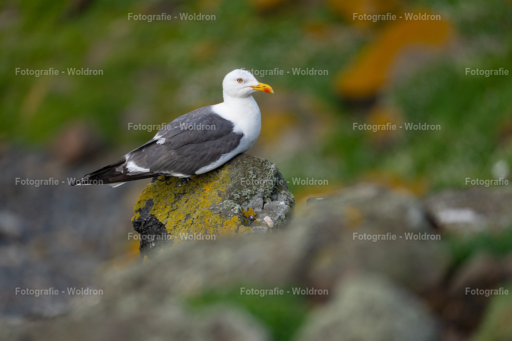 20230815 Isle of Sky - St.Andrews - Dundee-79 | Fotografie Woldron