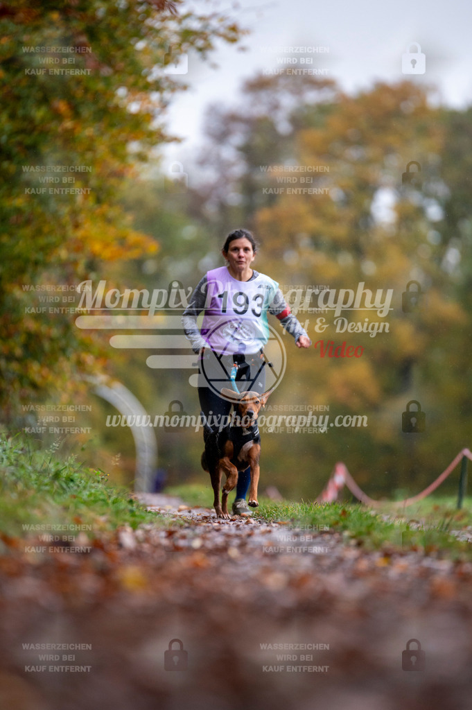 DBT_DAKM_SA_4_11_2023_Canicross-71 | PayLife