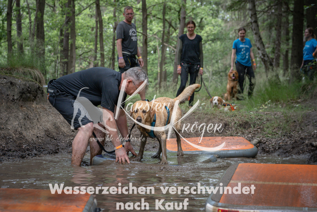 1237_ZZ90187 | kk-dogfotos