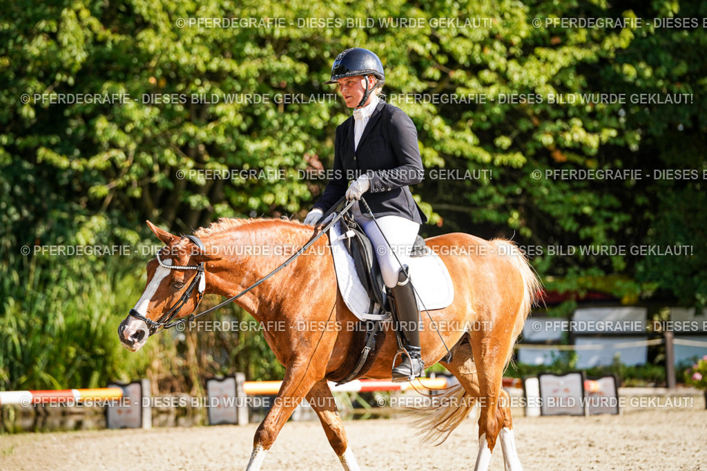 DSC00070 | Pferdegrafie