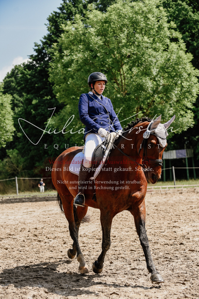 DSC_1224 | Pferde- und Turnierfotografie in Westsachsen. Pferdeportraits, Auftragszeichnungen und intuitive Kunst.