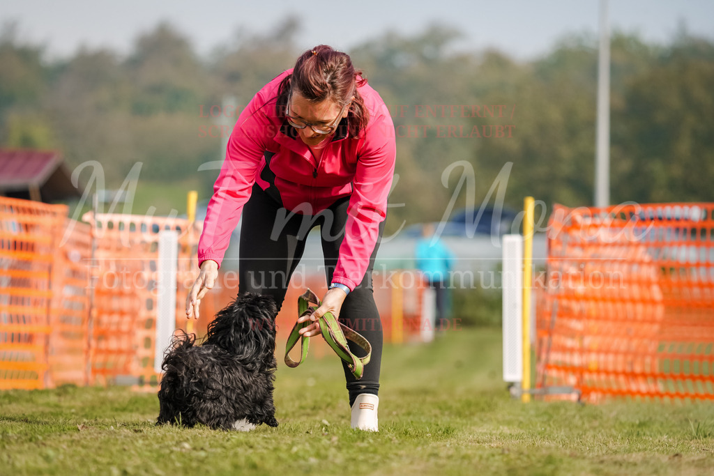 20250928_Hunderennen-219 | MuT (Mensch und Tier) mit Mona - Fotografie und Tierkommunikation - Realisiert mit Pictrs.com
