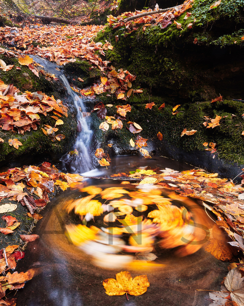 Ein Hans Fineart Original | Entdecke die Kunst von Hans Fineart - Fotografien für dein Zuhause. Verwandle deine Wände mit einzigartigen Kunstwerken und bringe die Schönheit der Welt in dein Leben. Bestelle jetzt und schaffe einen Ort der Inspiration und Eleganz.