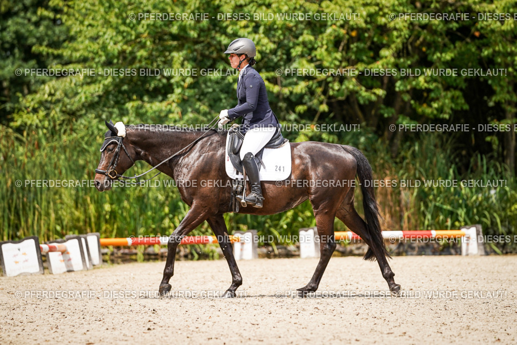 DSC03175 | Pferdegrafie