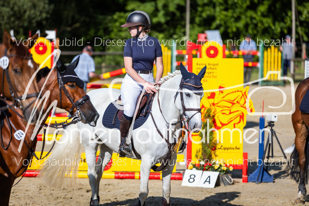 Donop24-ASpr-114 | MomenTaufnahmen Pferdesportfotos