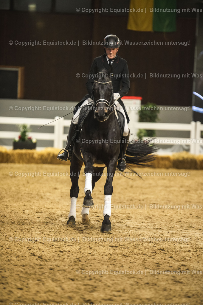 20240302_Hengstvorstellung_Marbach_TOMsPiC_1456 | equistock