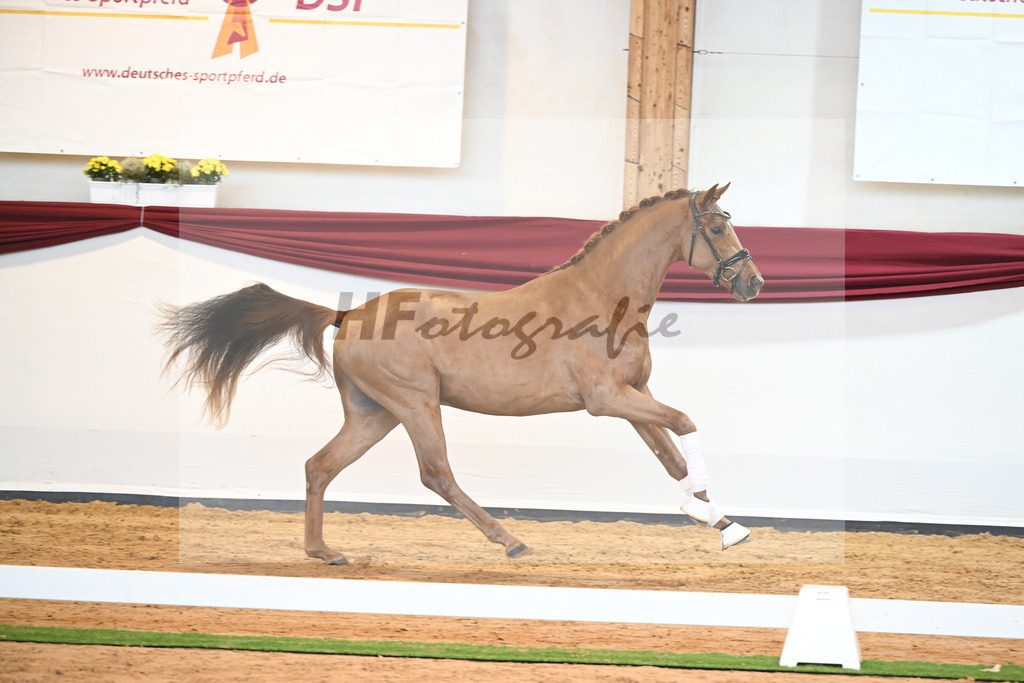 Kat-Nr. 52 v. Vaderland_Galneder_66220767 | hf-fotografie - Realisiert mit Pictrs.com