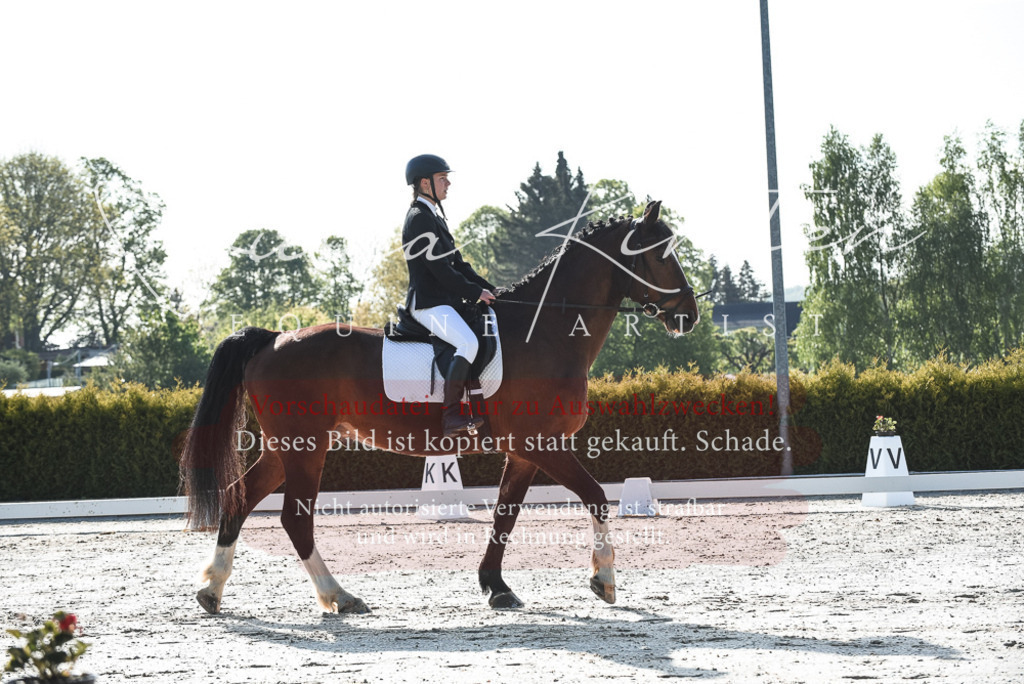 20230518_JK-Röhrsdorf-09-0677 | Pferde- und Turnierfotografie in Westsachsen. Pferdeportraits, Auftragszeichnungen und intuitive Kunst.