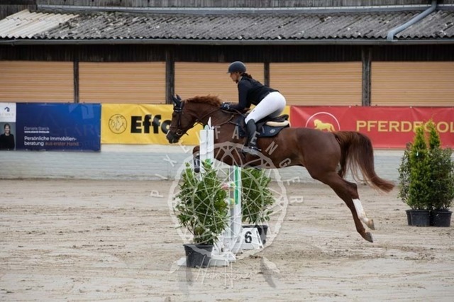 2B4A1556 | pixelfaenger - Realisiert mit Pictrs.com