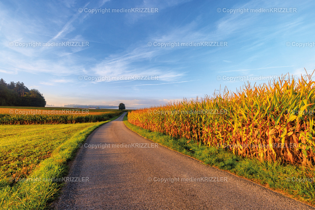 _J3A8548 | medienkrizzler - Realisiert mit Pictrs.com