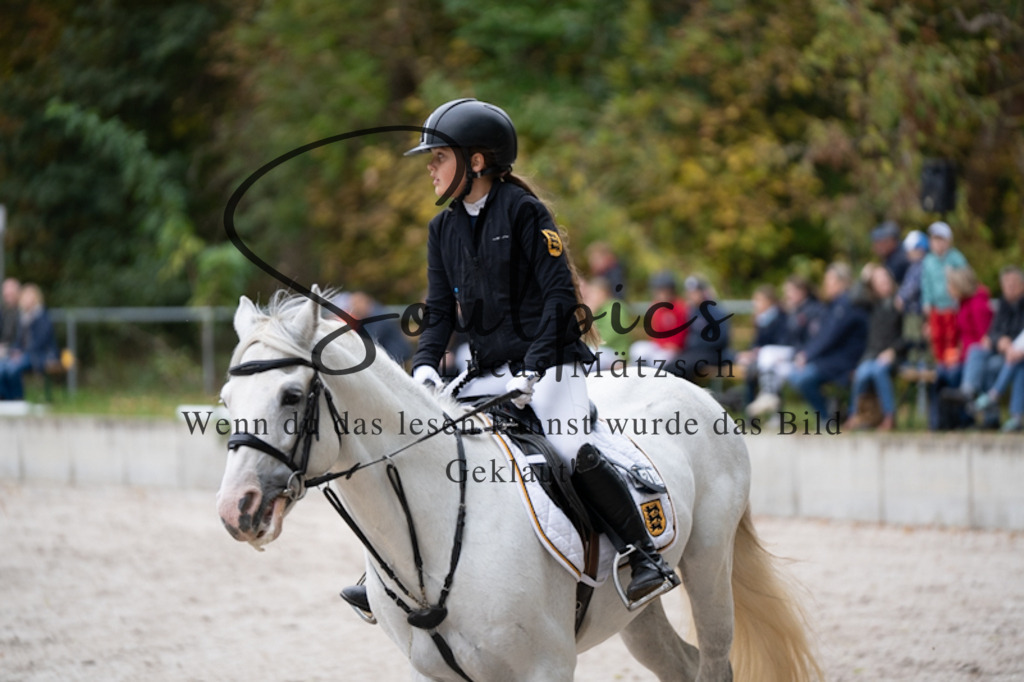 A7V09745 | Pferdefotograf