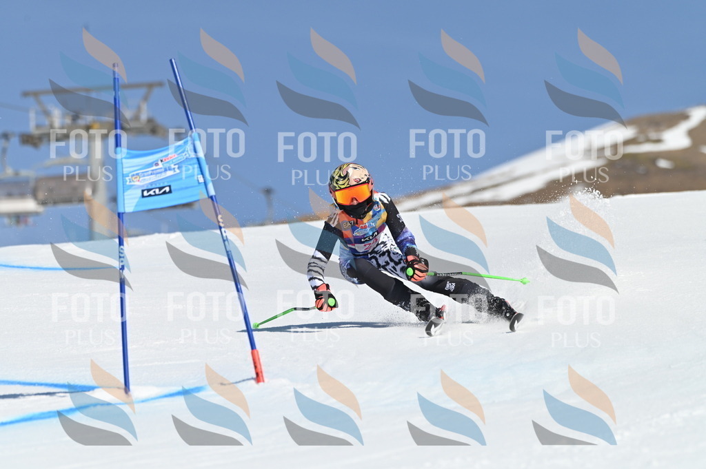 BGV_8023 | holidayphoto