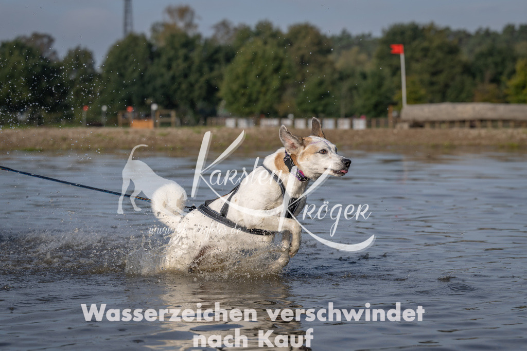 1028_ZZ93614 | kk-dogfotos