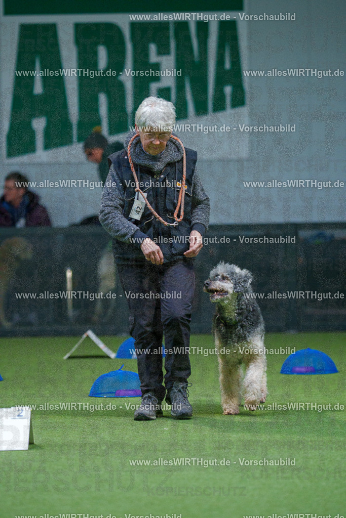 7R501252 | Professionelle Tierfotografie in Mönchengladbach von Daniel Wirth (allesWIRTHgut). Liebevolle & natürliche Bilder von Hunden & Katzen für unvergessliche Erinnerungen.