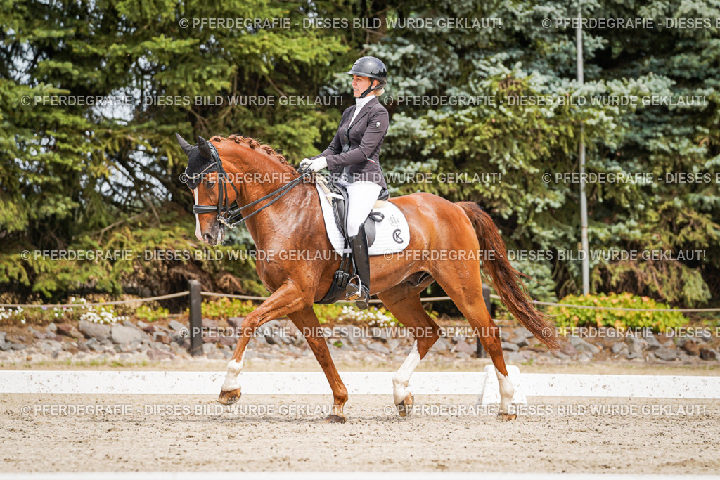 DSC05309 | Pferdegrafie