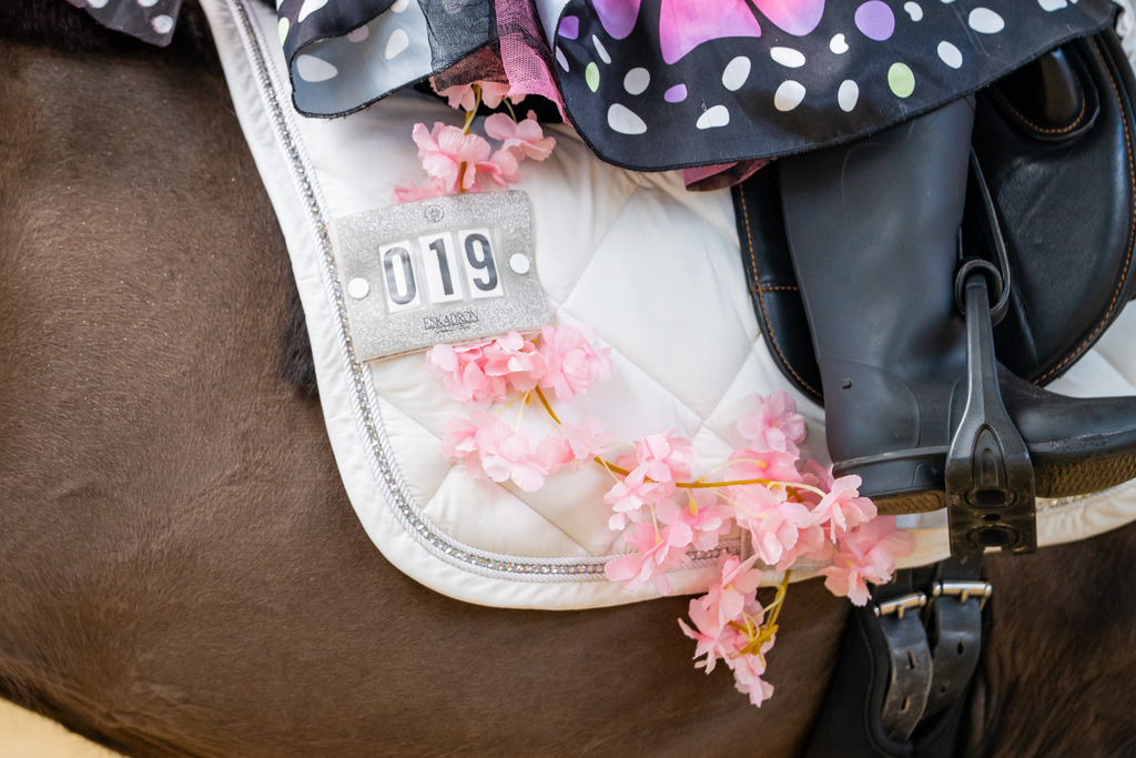 DSC00146 | Pferdegrafie