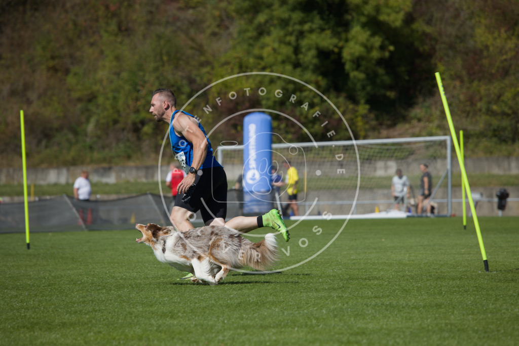 0L8A6274 | Hundefotografie, Tierfotograf, Pfotenfotografie, Fotoshooting Hund, Hunde Portrait, Hundesport, Hundeportraits, Heideshooting, Hunde, Sportfotograf, Hundefotograf, Turnierhundsport, THS,  - Realisiert mit Pictrs.com