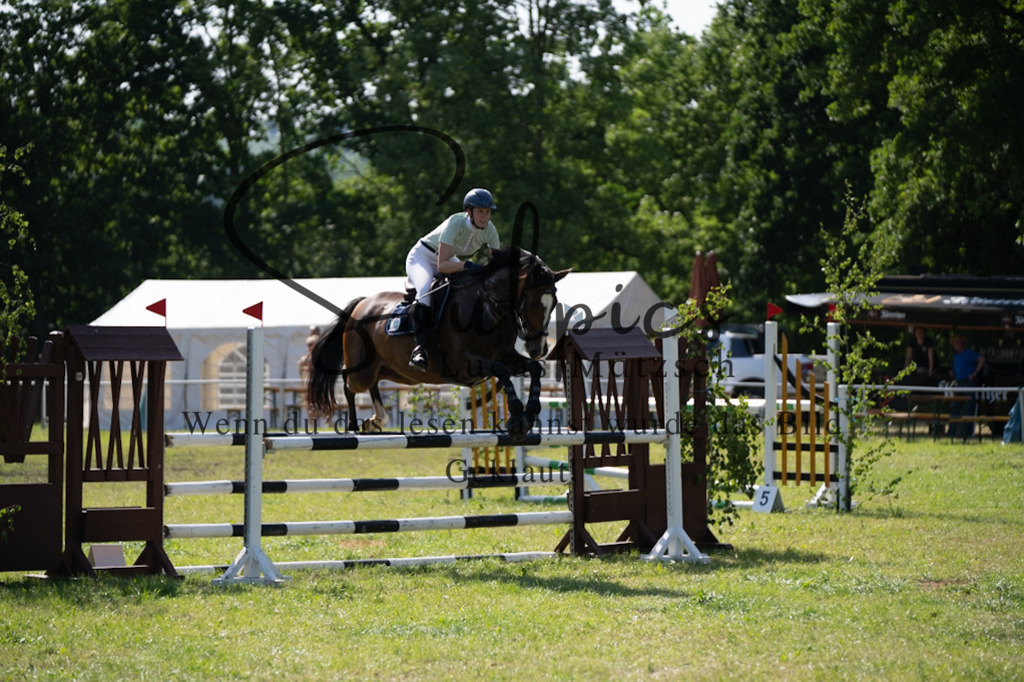 A7V06613 | Pferdefotograf