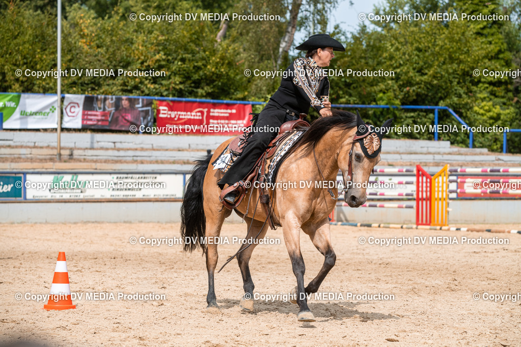 EWP_6018 | dv-media-shop - Realisiert mit Pictrs.com