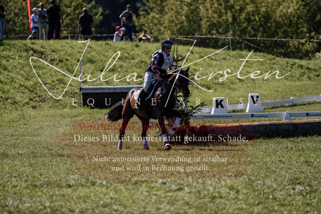 DSC_1562 | Pferde- und Turnierfotografie in Westsachsen. Pferdeportraits, Auftragszeichnungen und intuitive Kunst.