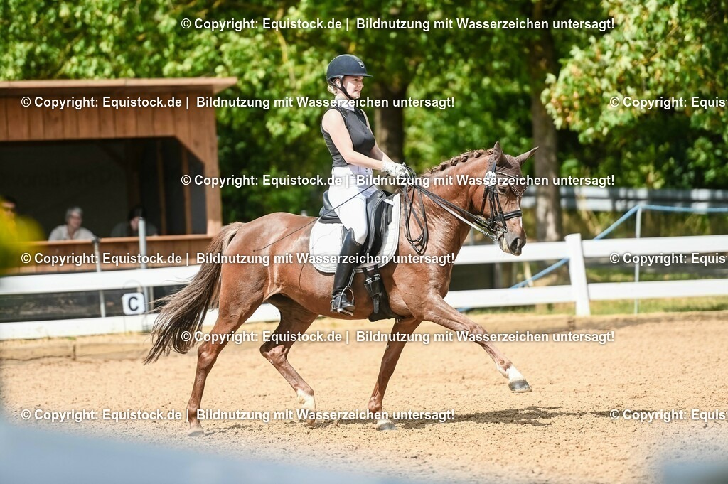 20230716_01_Dressurprüfung Kl.M_0346 | equistock
