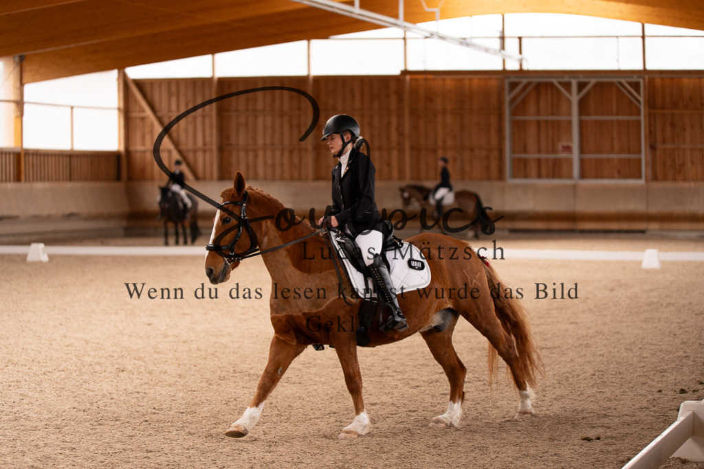 A7506935 | Turnier/Reitfotograf