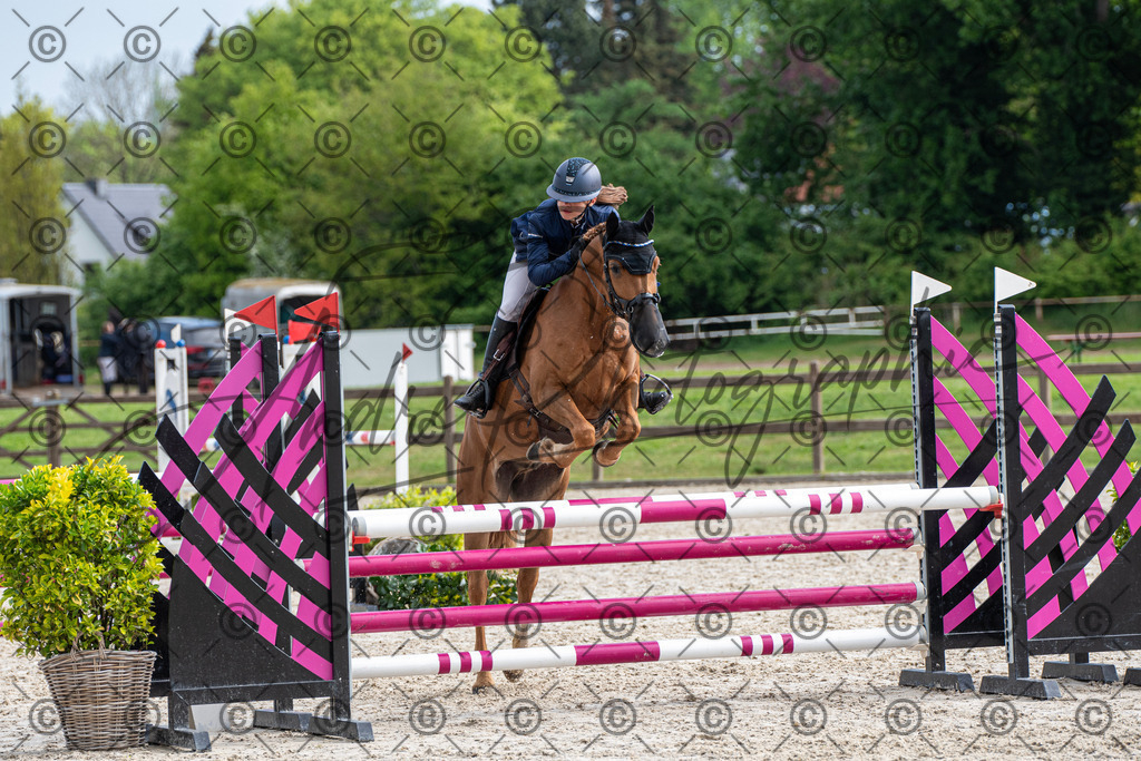 KPT_7961 | andre_photographic