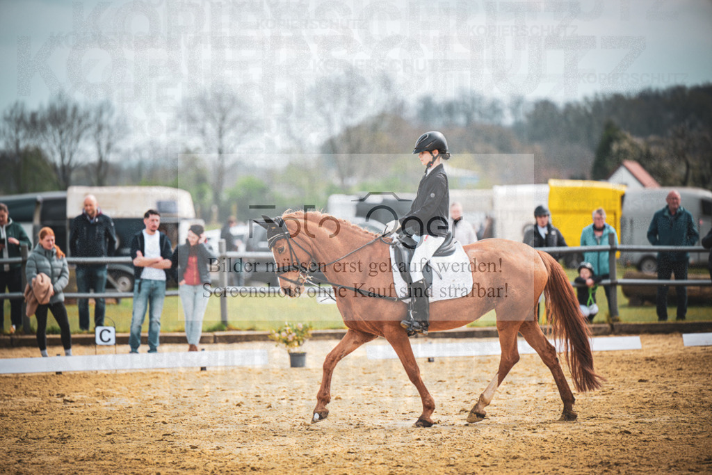 DOS_7865 | Entdecke hochwertige Reitturnierfotos von Foto Oger. Professionell, emotional und authentisch – jetzt Lieblingsmomente im Shop bestellen.Deutschlandweite Turnierfotografie. - Realisiert mit Pictrs.com