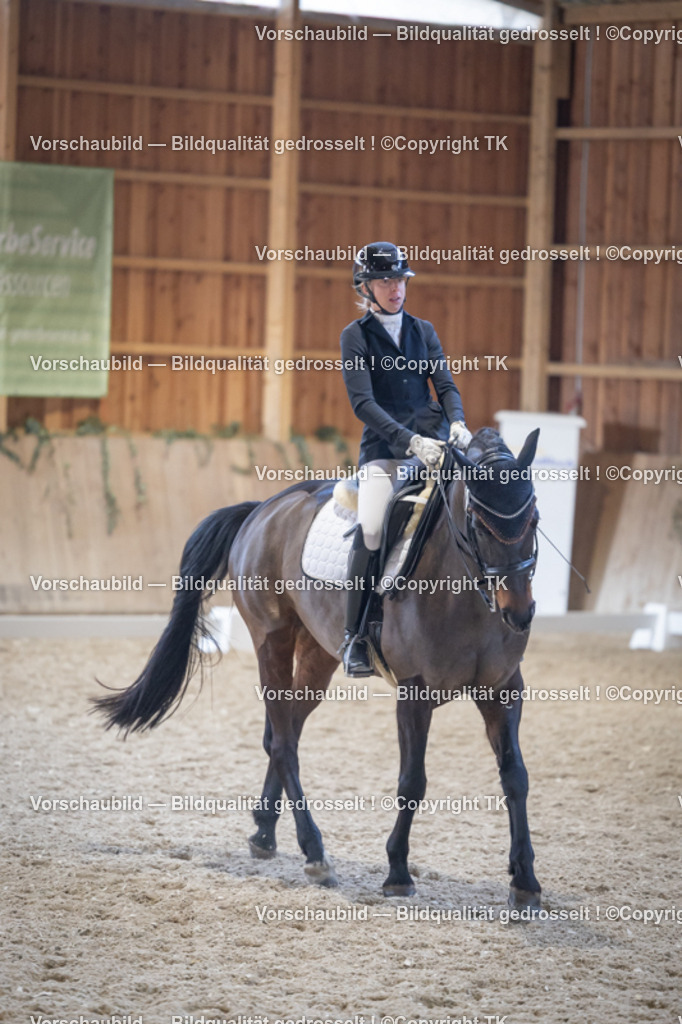 _D5A4996 | Emotionale Pferde- & People-Fotografie rund um Heidelberg, Leimen & Umgebung. Natürliche Fotos von Pferd, Mensch & Familie. Jetzt Termin sichern!