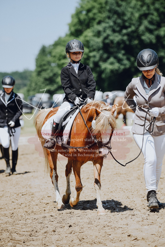 DSC_2208 | Pferde- und Turnierfotografie in Westsachsen. Pferdeportraits, Auftragszeichnungen und intuitive Kunst.