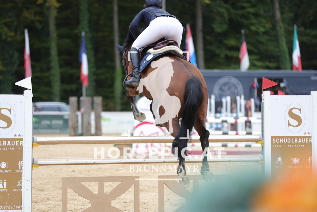 0P6A7568 | Willkommen bei Brunnmayr - Design & Fotografie – Ihrem Spezialisten für Reitturniere und Pferdeveranstaltungen in Oberösterreich, Salzburg und Bayern! Seit über 17 Jahren sind wir leidenschaftlich dabei.