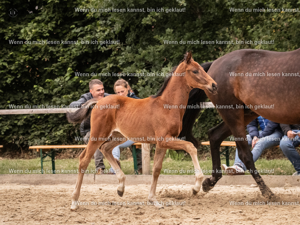 A10I6455 | photographylinaismer - Realisiert mit Pictrs.com