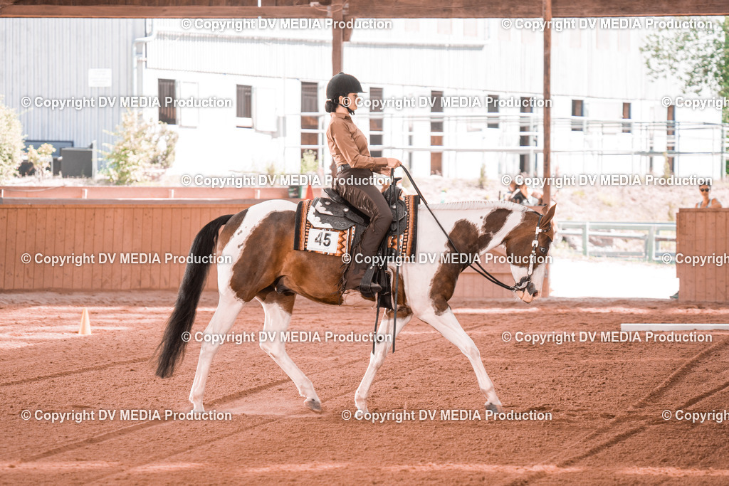 NE300262 | dv-media-shop - Realisiert mit Pictrs.com