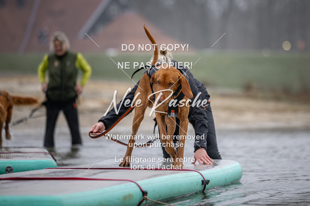 nelerasche_Hulsbeek_Sa0845-1030_68 | nelerasche