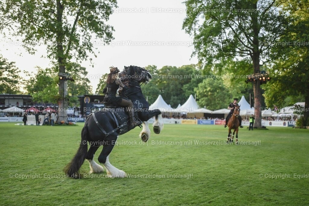 20230526_Pferdenacht_0298 | equistock
