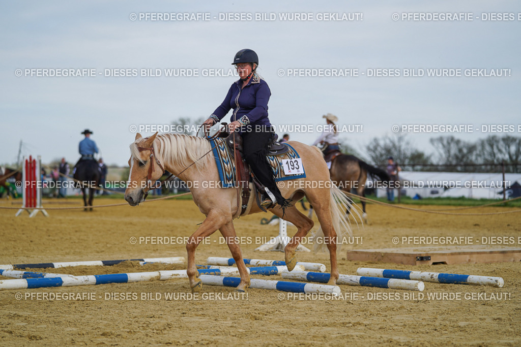 DSC05149 | Pferdegrafie