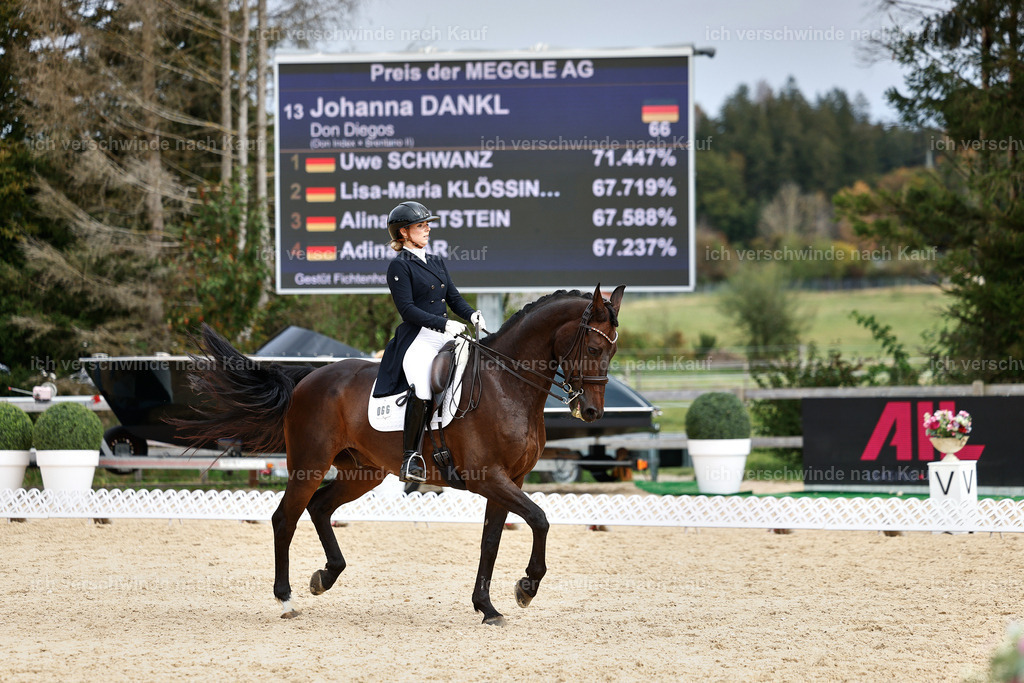 11-066-Dressur S___-StoibPH-1258 | working equitationturnier fotograf videograf stoibphotography marixx film working equitation deutschland reitsport turnierfotografie eventfotografie equestrian events